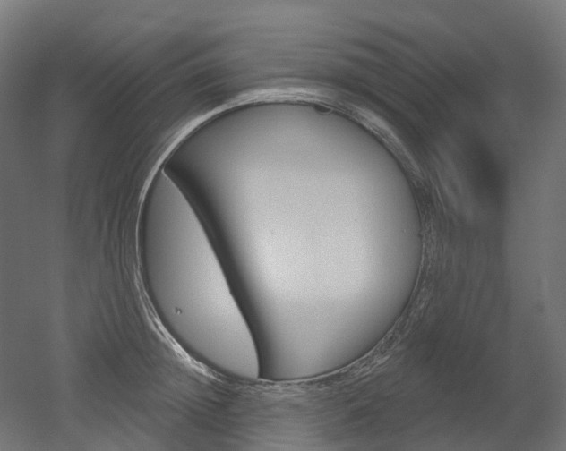 X0000051860852200506241000