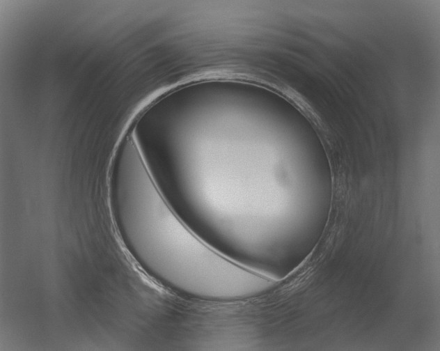 X0000051860854200506241000