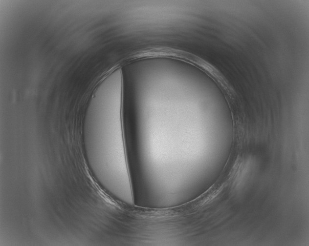 X0000051860857200506241000