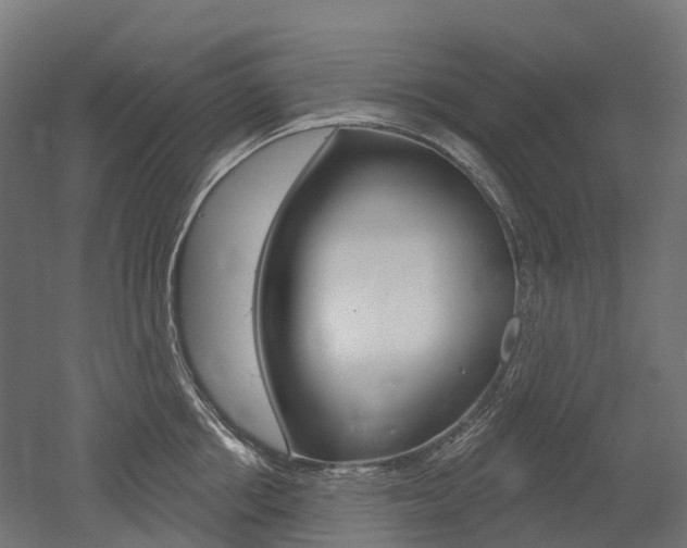 X0000051860858200506241000