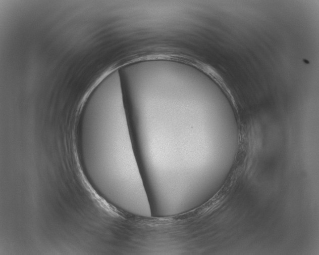 X0000051860859200506241000