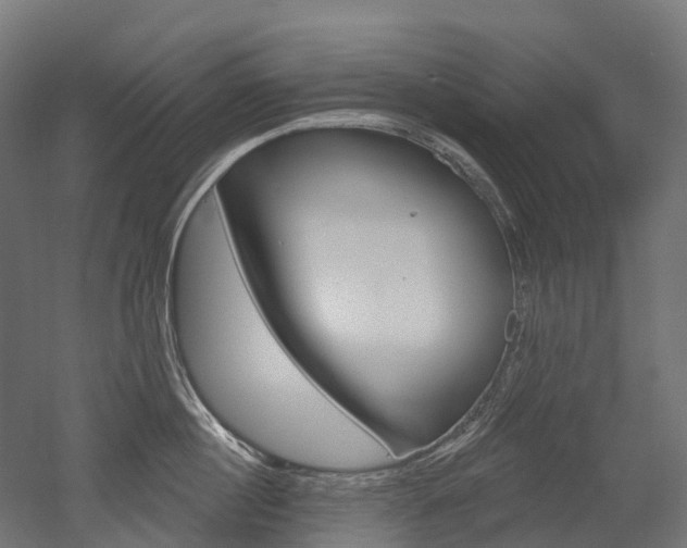 X0000051860860200506241000