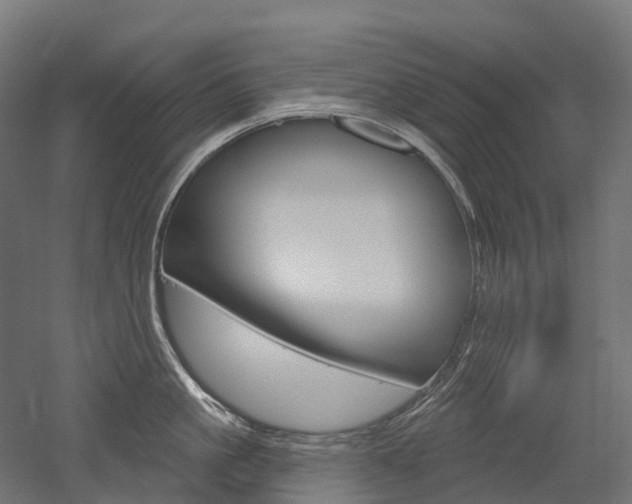 X0000051860861200506241000