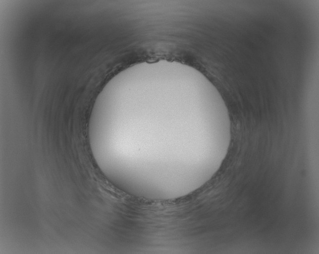 X0000051860865200506241000