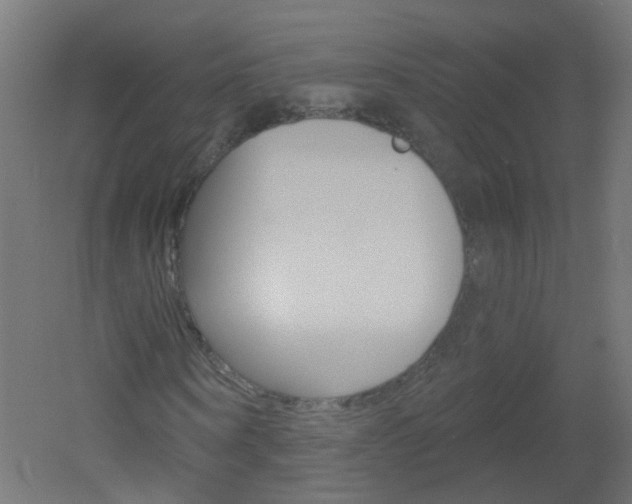 X0000051860866200506241000