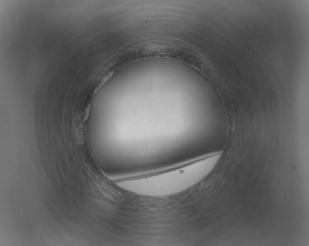 X0000051860868200506241000