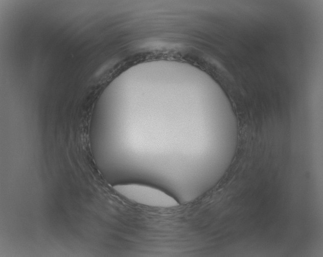 X0000051860869200506241000