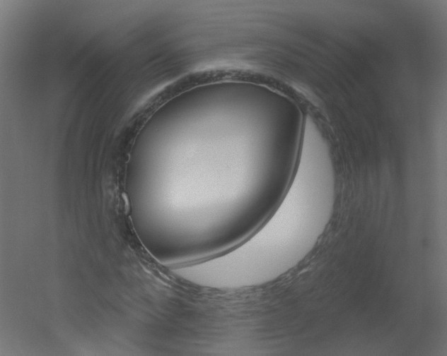 X0000051860872200506240959