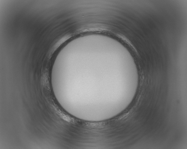 X0000051860874200506240959