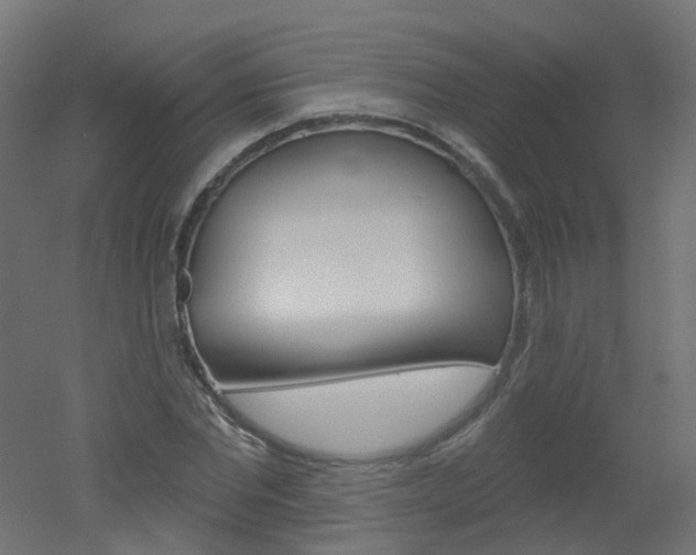 X0000051860877200506240959