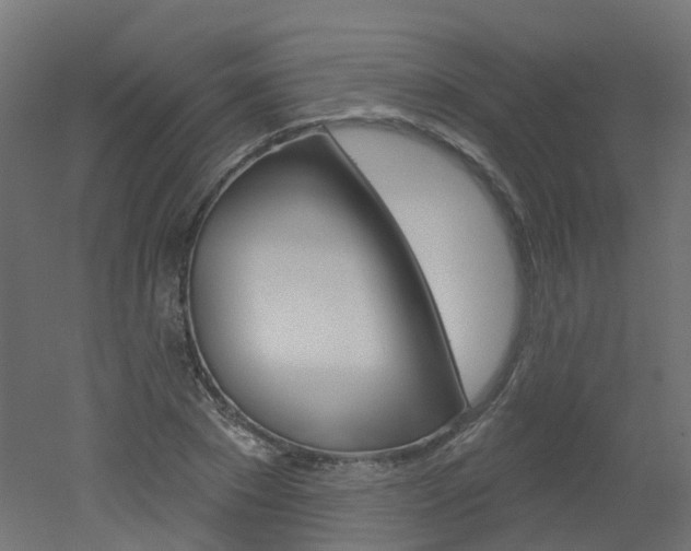 X0000051860881200506240959