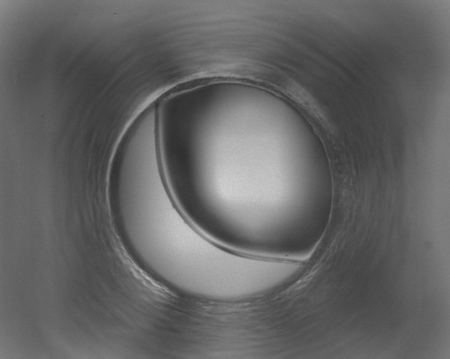 X0000051860884200506240959