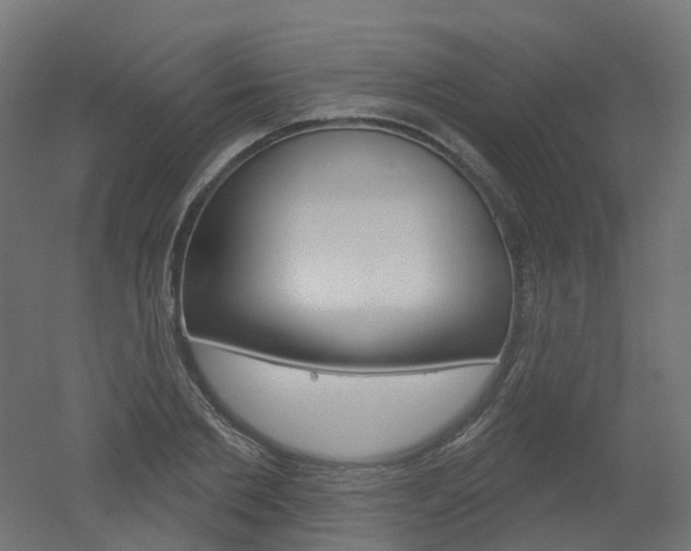 X0000051860885200506240959