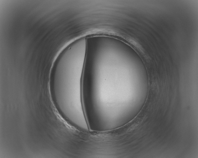 X0000051860888200506240959