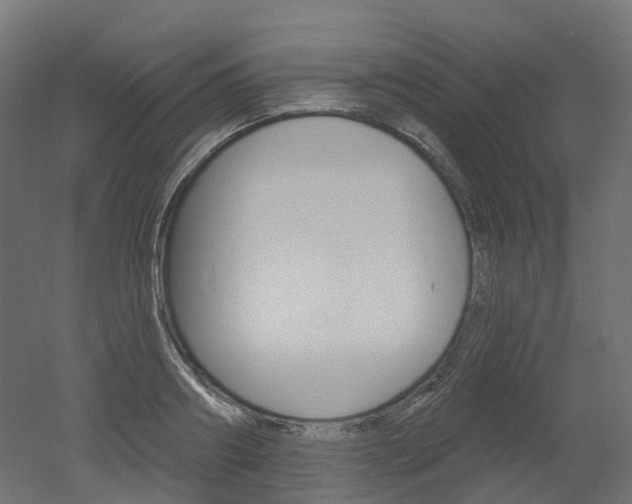 X0000051860890200506240959