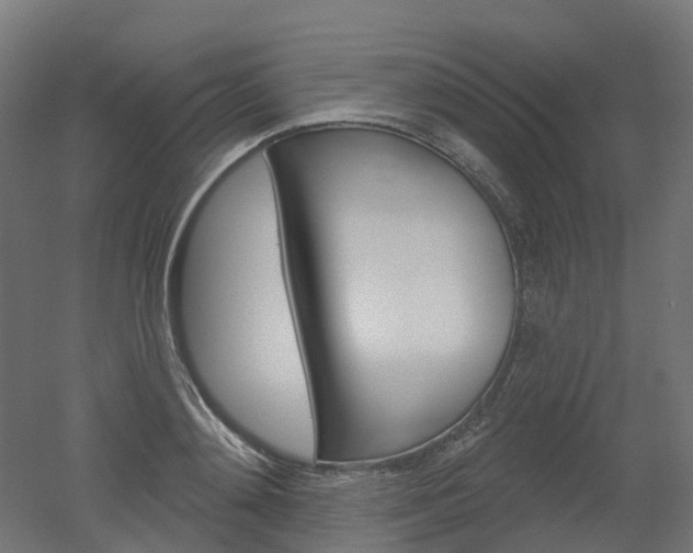 X0000051860892200506240959