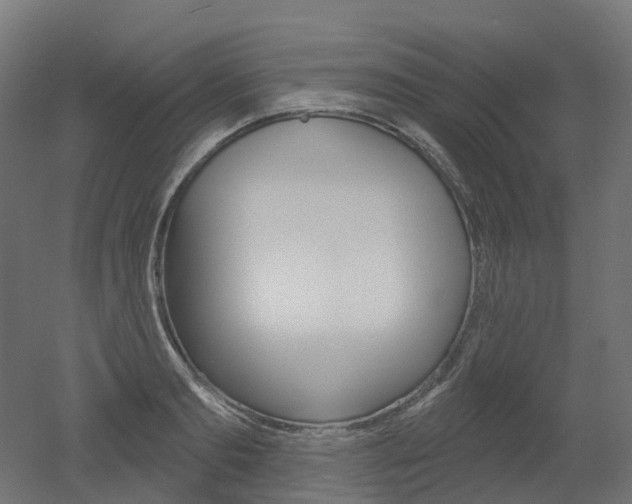 X0000051860893200506240959