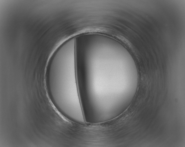 X0000051860894200506240959