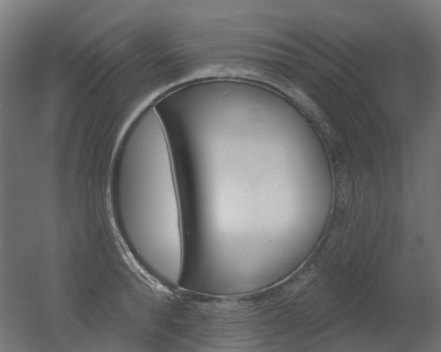 X0000051860896200506240959