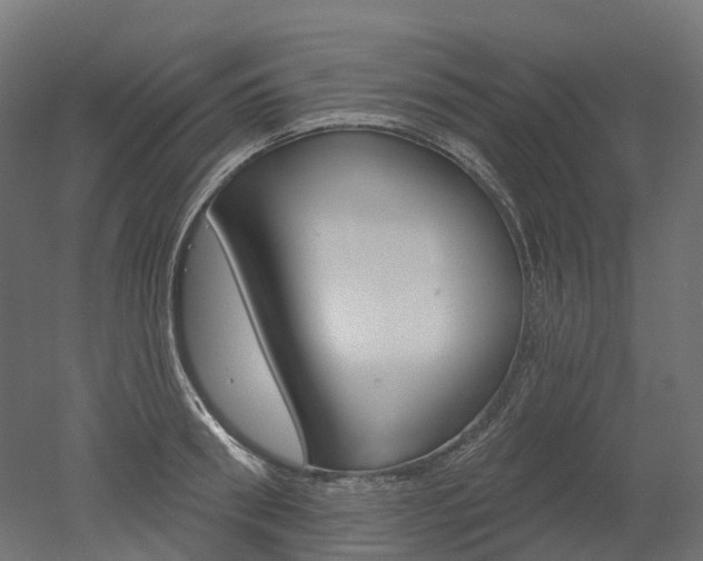X0000051860898200506240959