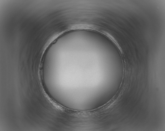 X0000051860901200506240959