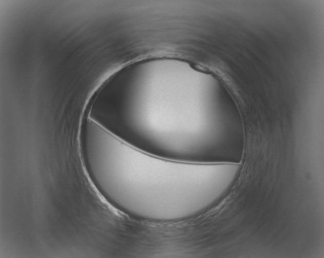 X0000051860902200506240959