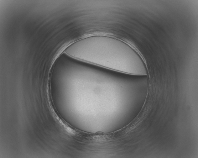X0000051860906200506240959