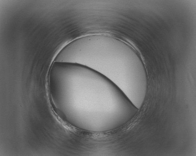 X0000051860907200506240959