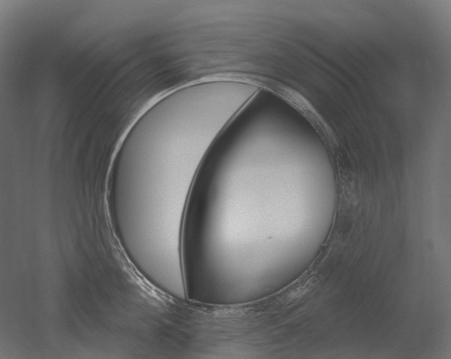 X0000051860908200506240959