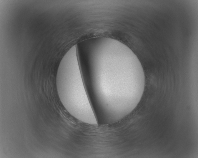 X0000051860914200506240958
