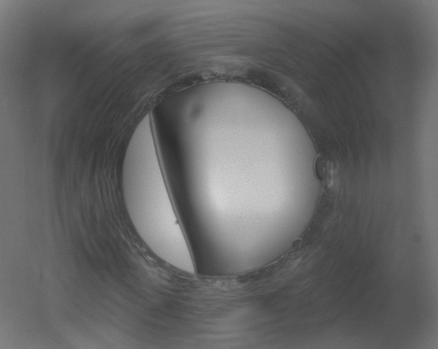 X0000051860915200506240958