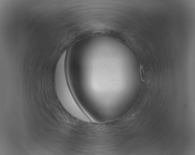 X0000051860916200506240958