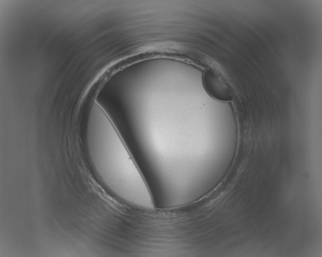 X0000051860923200506240958