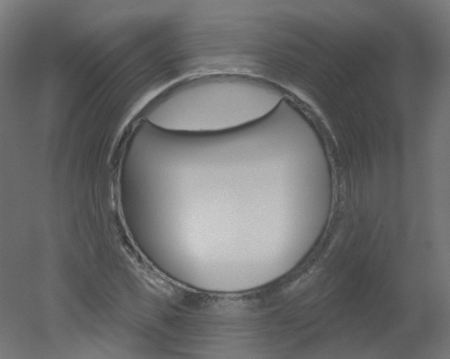 X0000051860925200506240958