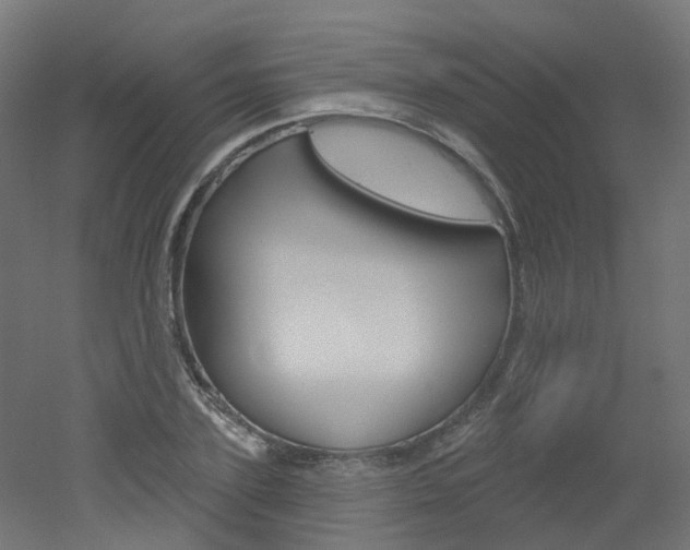X0000051860931200506240958