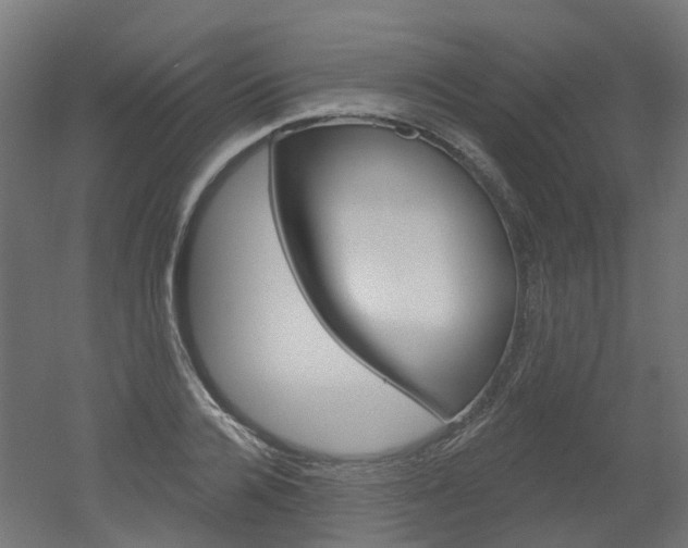 X0000051860936200506240958