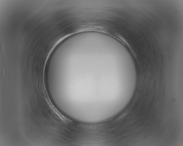 X0000051860940200506240958