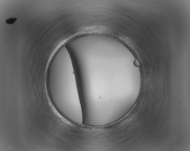 X0000051860941200506240958