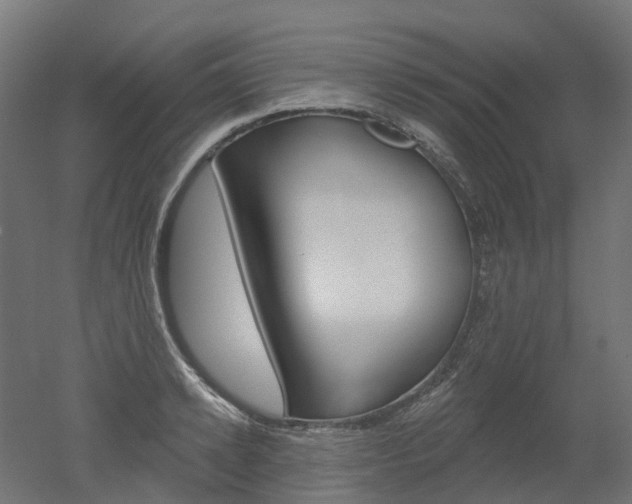 X0000051860942200506240958