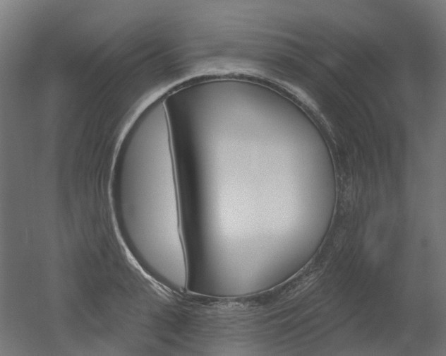 X0000051860943200506240958