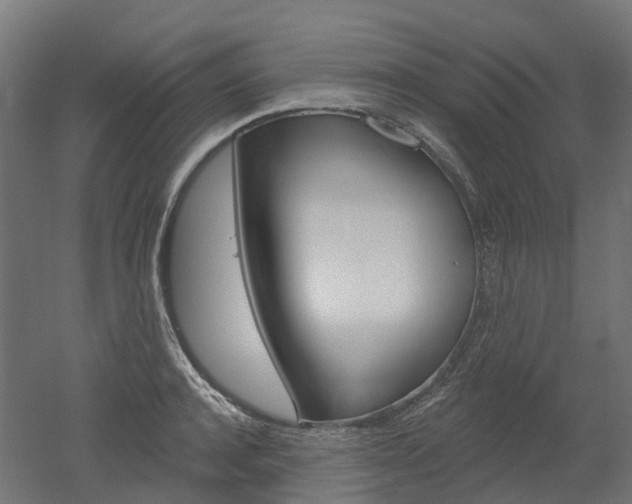 X0000051860944200506240959