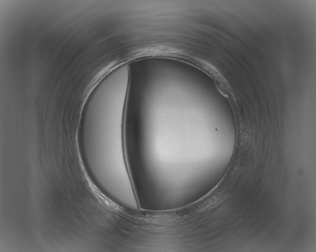 X0000051860946200506240959