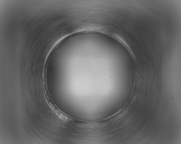 X0000051860948200506240959