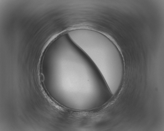 X0000051860949200506240959