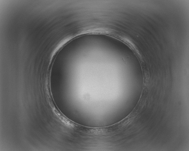 X0000051860952200506240959