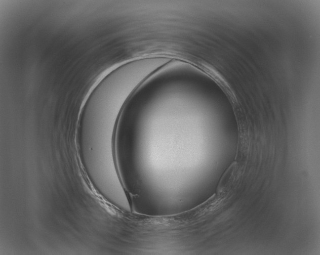 X0000051860956200506240959