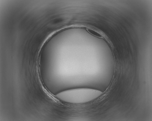 X0000051860958200506240959