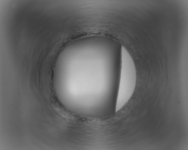 X0000051860961200506240958