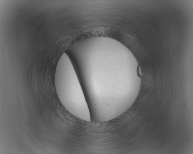 X0000051860962200506240958