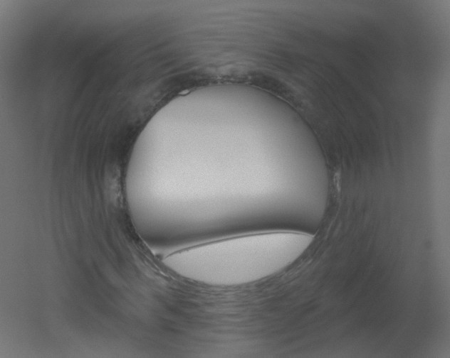 X0000051860963200506240958